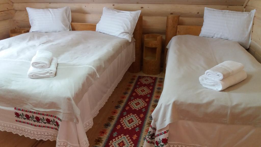 Hotel Casutele Din Moisei Extérieur photo