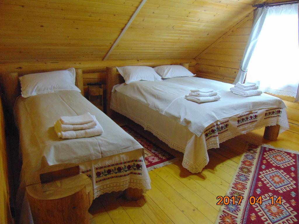 Hotel Casutele Din Moisei Extérieur photo
