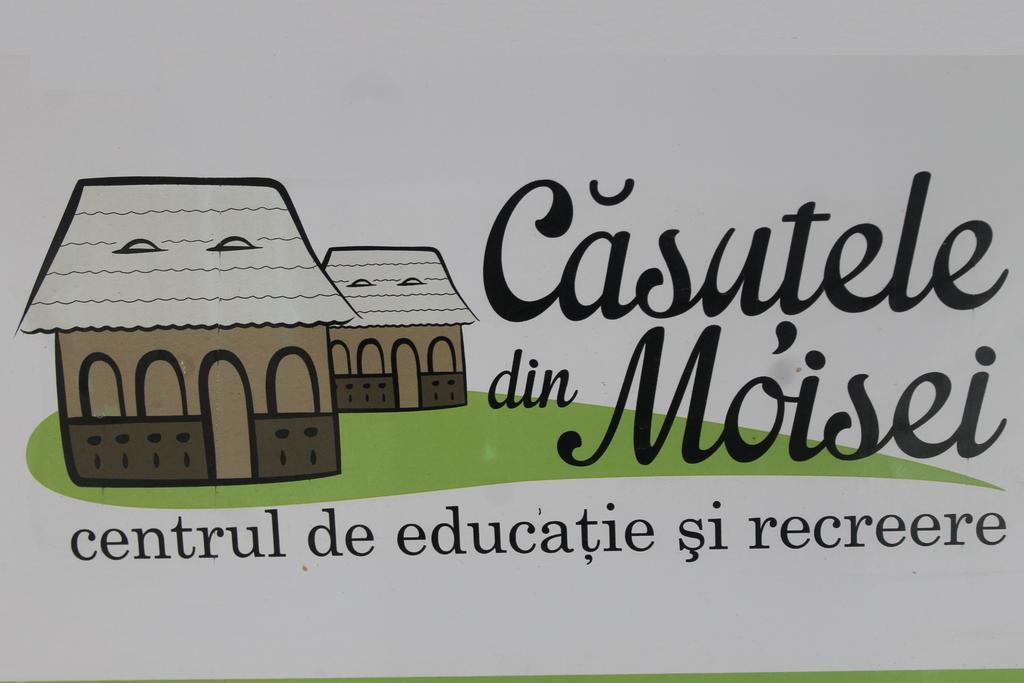 Hotel Casutele Din Moisei Extérieur photo