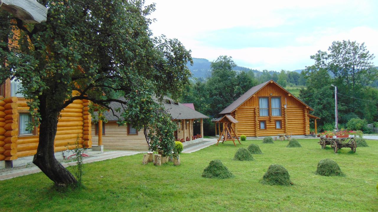 Hotel Casutele Din Moisei Extérieur photo