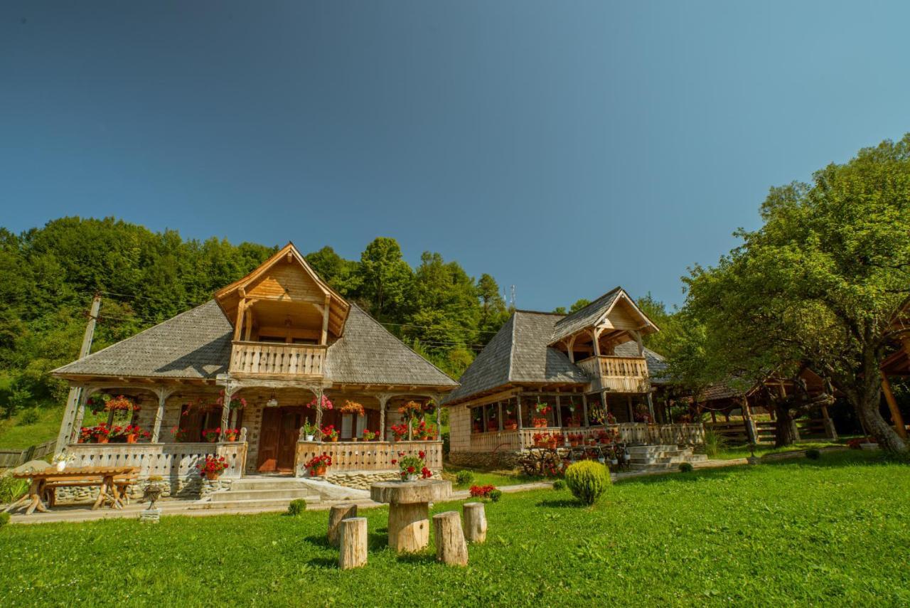 Hotel Casutele Din Moisei Extérieur photo