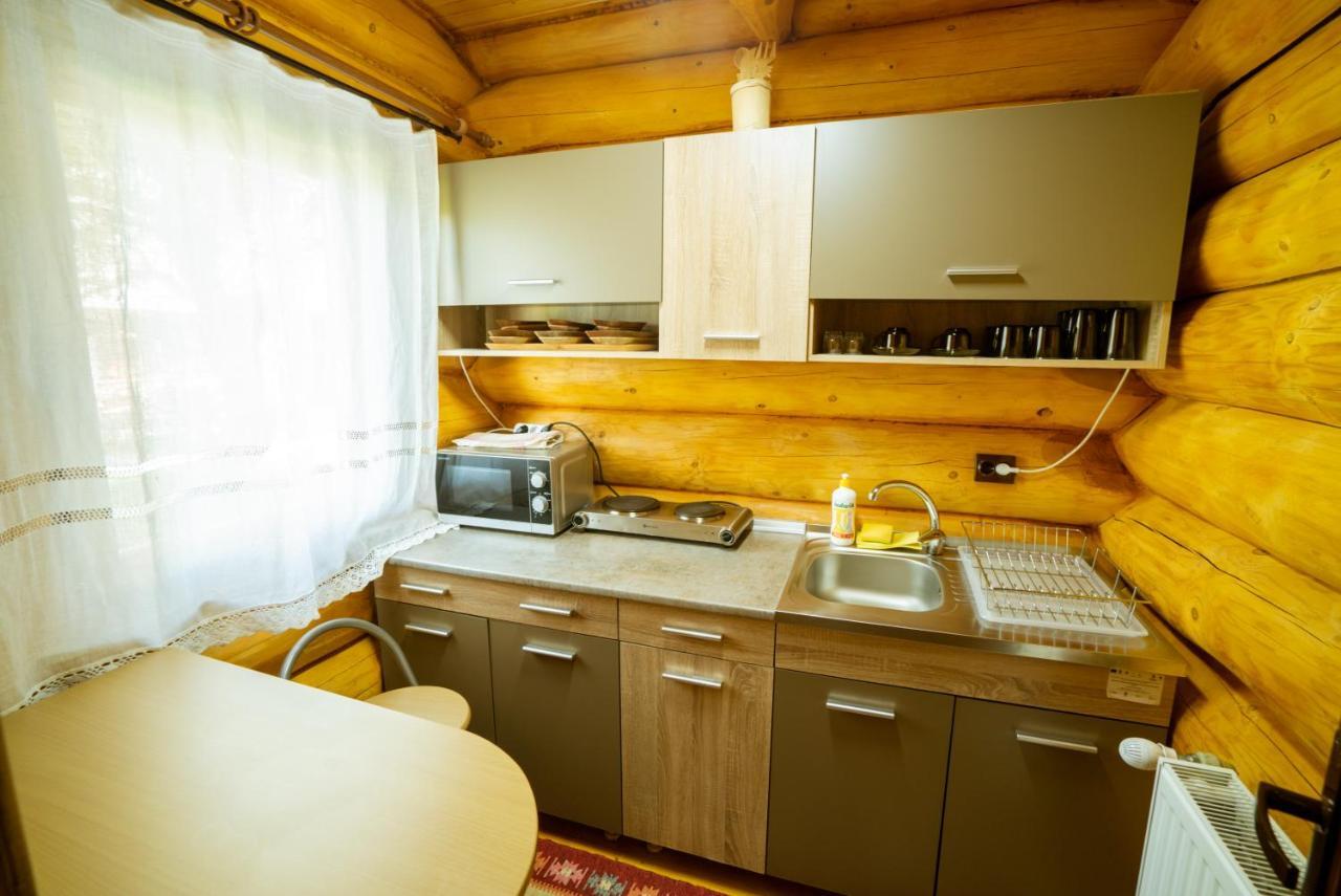 Hotel Casutele Din Moisei Extérieur photo